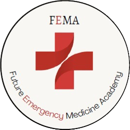 FEMA Logo